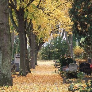 Weg auf Friedhof im Herbst mit gelbem Laub bedeckt