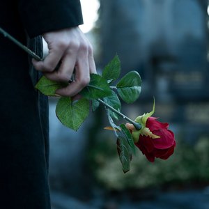 Mensch in schwarzer Kleidung auf einem Friedhof mit roter Rose in der Hand